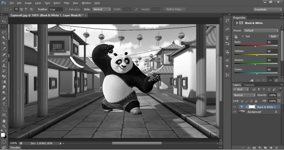 Black and white adjustment in Photoshop.PNG