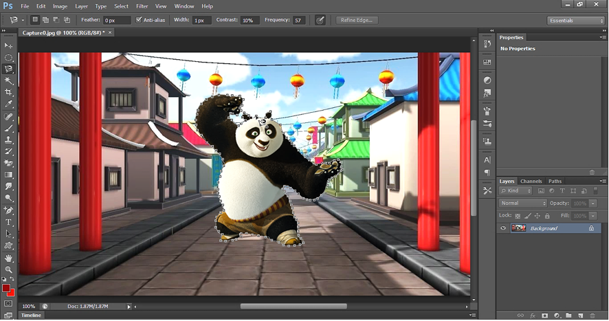 Example Change background of Panda.PNG